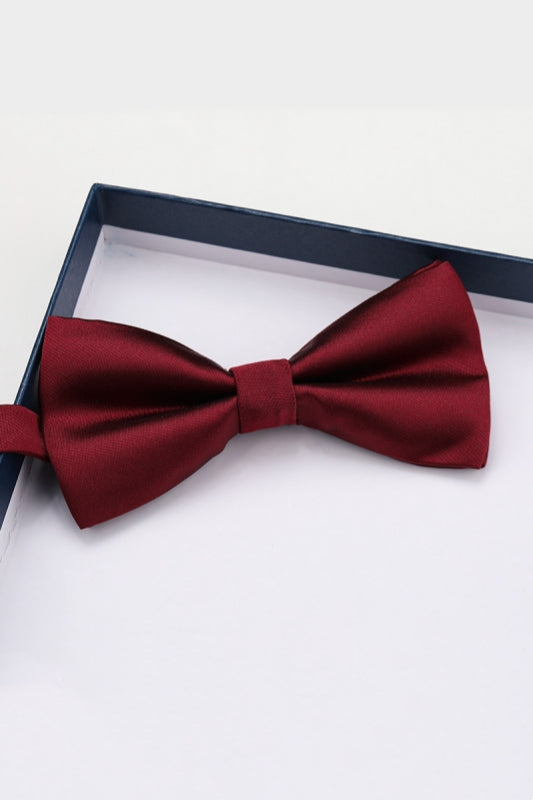 Charming Burgundy Satin Bow Tie